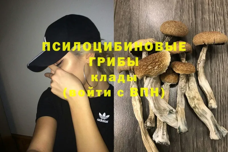 закладки  Ханты-Мансийск  Галлюциногенные грибы MAGIC MUSHROOMS 